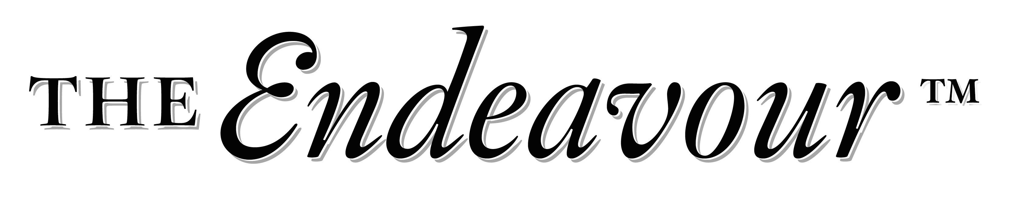 THE Endeavour — Human Development
